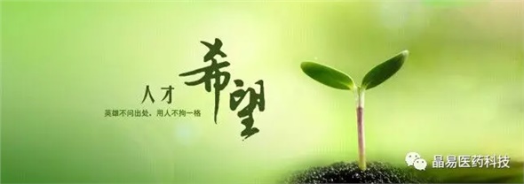 晶易醫(yī)藥獲評就業(yè)見習基地與研究生培養(yǎng)創(chuàng)新基地，構筑人才發(fā)展新臺階